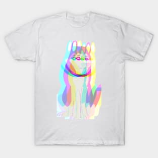 Radiate Dog T-Shirt